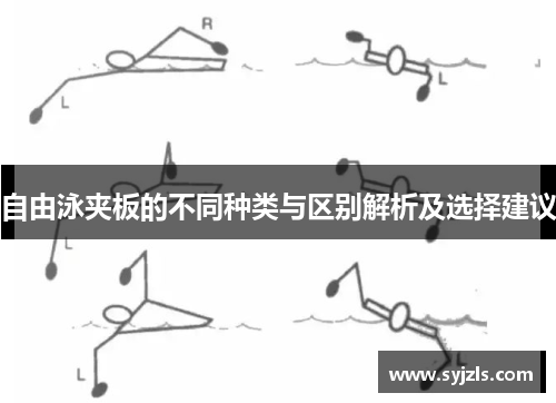 自由泳夹板的不同种类与区别解析及选择建议